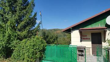 Фото номера Вилла с 3 спальнями Виллы Casa de vacanta Adelina г. Valea Lungă-Gorgota 45