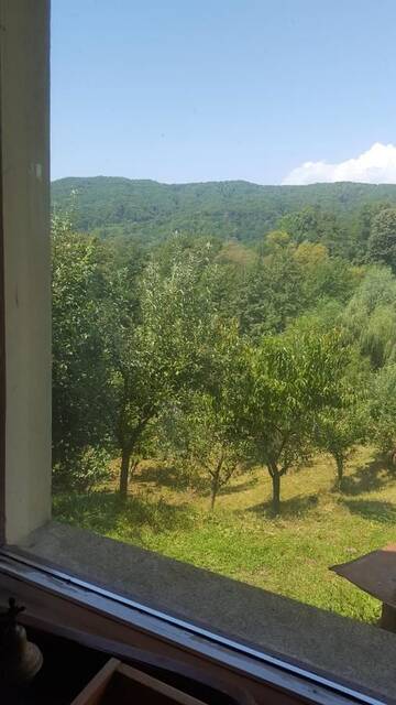 Фото номера Вилла с 3 спальнями Виллы Casa de vacanta Adelina г. Valea Lungă-Gorgota 16